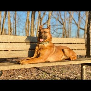 Meet your Posher, Ellen